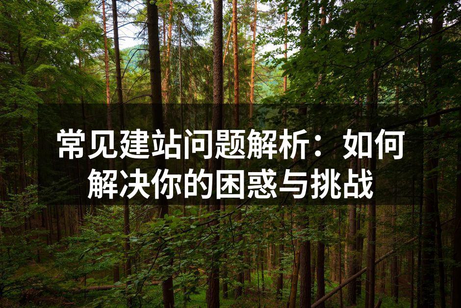 域名选择与品牌形象